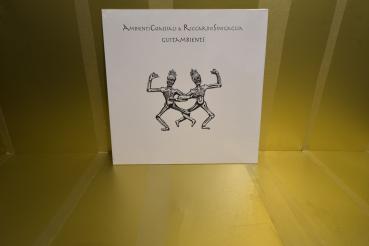 AMBIENTI COASSIALI & RS - Guitambients