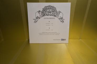 Preview: AMBIENTI COASSIALI & RS - Guitambients