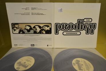 Prodigy - Experience