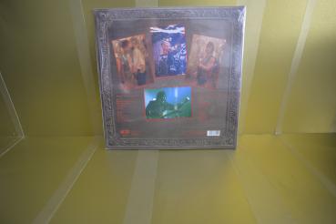 Preview: RUNNING WILD - Ready for Boarding