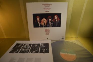 Preview: MR BIG - Lean on it