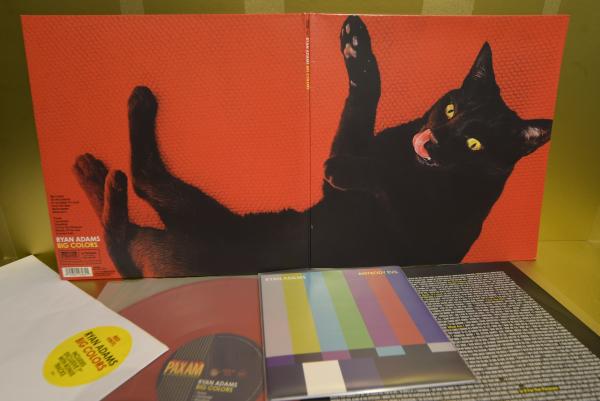 Ryan Adams - Big Colours