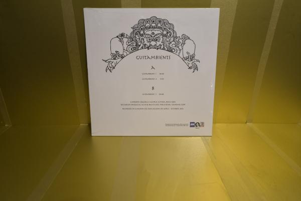 AMBIENTI COASSIALI & RS - Guitambients