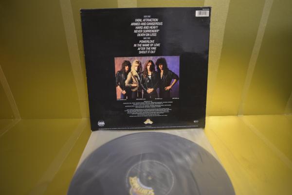 Lion - Dangerous Attraction